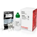 Thermo Fisher Scientific RNaseAlert Lab Test Kit v2