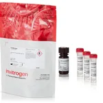 Thermo Fisher Scientific SuperBoost EverRed HRP Substrate Kit, 150 Slides