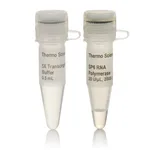 Thermo Fisher Scientific SP6 RNA Polymerase (20 U/μL)
