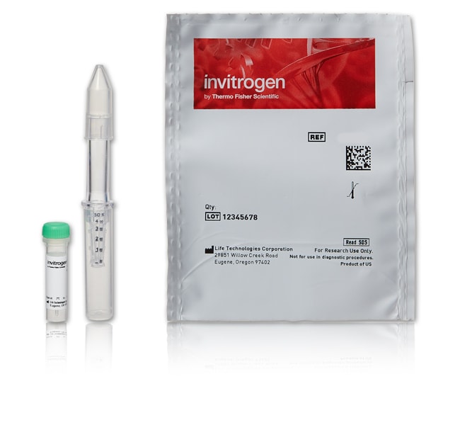 Thermo Fisher Scientific Click-iT Alexa Fluor 488 sDIBO Alkyne for Antibody Labeling, 1 each