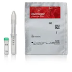 Thermo Fisher Scientific Click-iT Alexa Fluor 488 sDIBO Alkyne for Antibody Labeling, 1 each