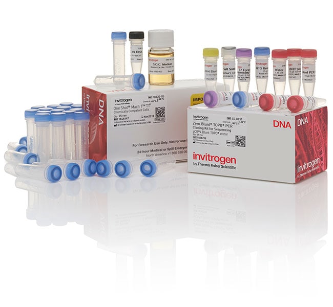 Thermo Fisher Scientific Zero Blunt TOPO PCR Cloning Kit for Sequencing, with One Shot Mach1 T1 Phage-Resistant Chemically Competent E. coli