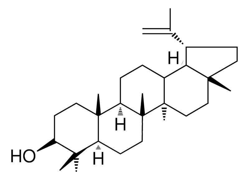 Merck LUPEOL-