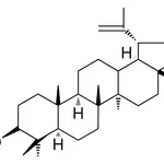 Merck LUPEOL-