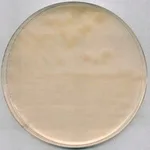 Merck R-2A AgarNutriSelect Plus