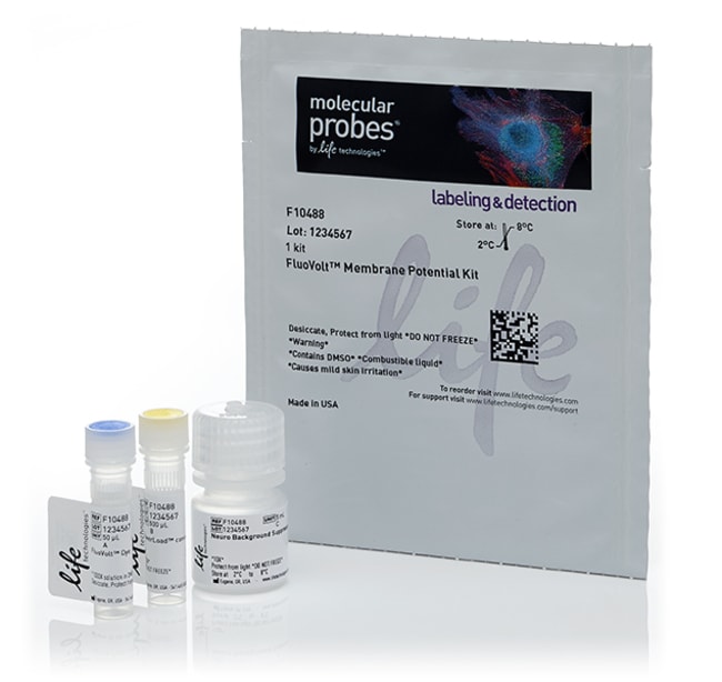 Thermo Fisher Scientific FluoVolt Membrane Potential Kit