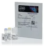 Thermo Fisher Scientific FluoVolt Membrane Potential Kit