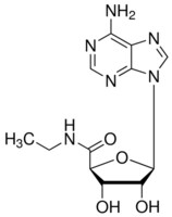 Merck 5``-(N-ETHYLCARBOXAMIDO)ADENOSINE