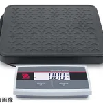 AS ONE Economy Scale, 이코노미 대저울