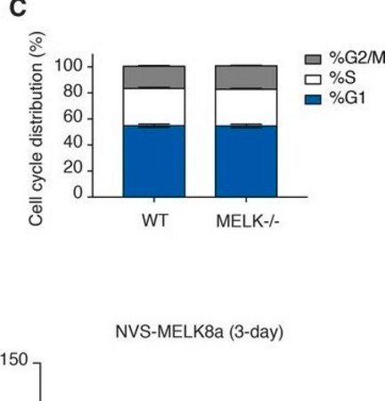Merck Anti-Vinculin antibody, Mouse monoclonal