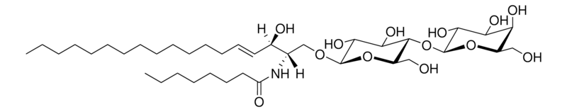 Merck C8 Lactosyl(beta) Ceramide (d18:1/8:0)
