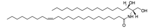 Merck C24:1 DIHYDROCERAMIDE (D18:0/24:1(15Z))
