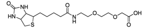 Merck 8-BIOTINYLAMIDO-3,6-DIOXAOCTANOIC ACID