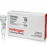 Thermo Fisher Scientific UTP Soln. (10 mM)
