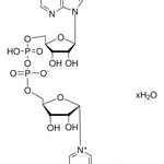Merck BETA-NICOTINAMIDE ADENINE DINUCLEOTIDE,