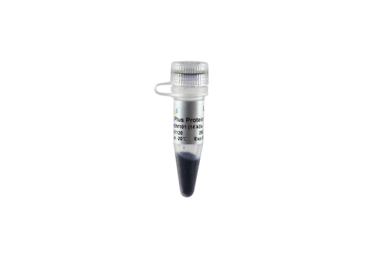Blue Plus® Protein Marker (14-100 kDa)