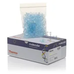 Thermo Fisher Scientific Tubes, 0.2 mL, flat cap, blue