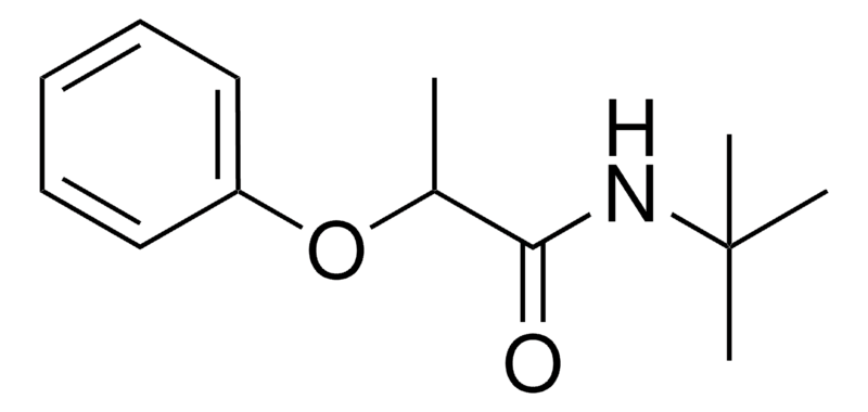 Merck N-TERT-BUTYL-2-PHENOXY-PROPION - 10 MG&