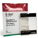 Thermo Fisher Scientific E-Gel CloneWell II Agarose Gels with SYBR Safe, 0.8%