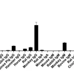 Thermo Fisher Scientific Goat anti-Human IgG (H+L) Superclonal Secondary Antibody, Alexa Fluor Plus 647