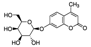 Merck 4-METHYLUMBELLIFERYL-B-D-GALACTOSIDE