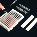 Thermo Fisher Scientific Excel Scientific Non-Sterile SealPlate Films