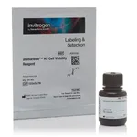 Thermo Fisher Scientific alamarBlue HS Cell Viability Reagent, 25 mL