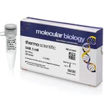 Thermo Fisher Scientific S-Adenosyl-L- Methionine (SAM) (5 mM), 800 μL