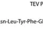 Merck TEV PROTEASE, RECOMBINANT, EXPRESSED IN&