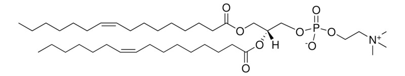 Merck 16:1 (Delta9-Cis) PC