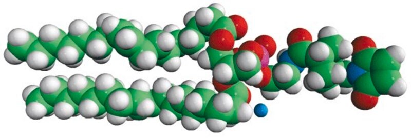 Merck 18:1 PE MCC