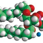 Merck 18:1 PE MCC