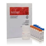 Thermo Fisher Scientific NeuroTrace BDA-10,000 Neuronal Tracer Kit