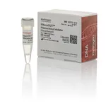 Thermo Fisher Scientific RNaseOUT Recombinant Ribonuclease Inhibitor