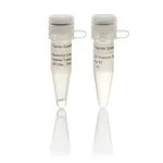 Thermo Fisher Scientific RevertAid H Minus Reverse Transcriptase (200 U/μL), 10,000 Units