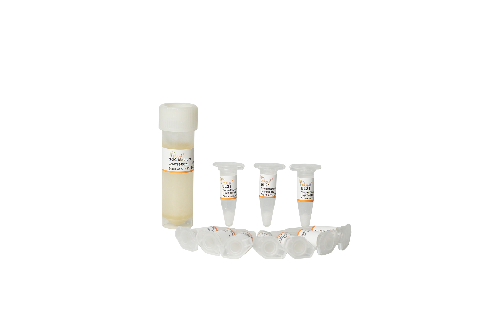 BL21 Chemically Competent Cell