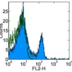 Thermo Fisher Scientific CD4 Monoclonal Antibody (RM4-4), PE, eBioscience