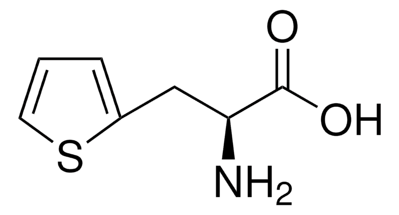 Merck 3-(2-Thienyl)-L-alanine