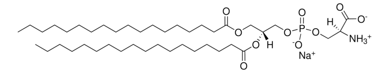 Merck 18:0 PS