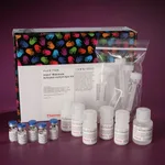Thermo Fisher Scientific Imject Maleimide-Activated mcKLH Spin Kit