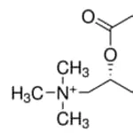 Merck BUTYRYL-L-CARNITINE