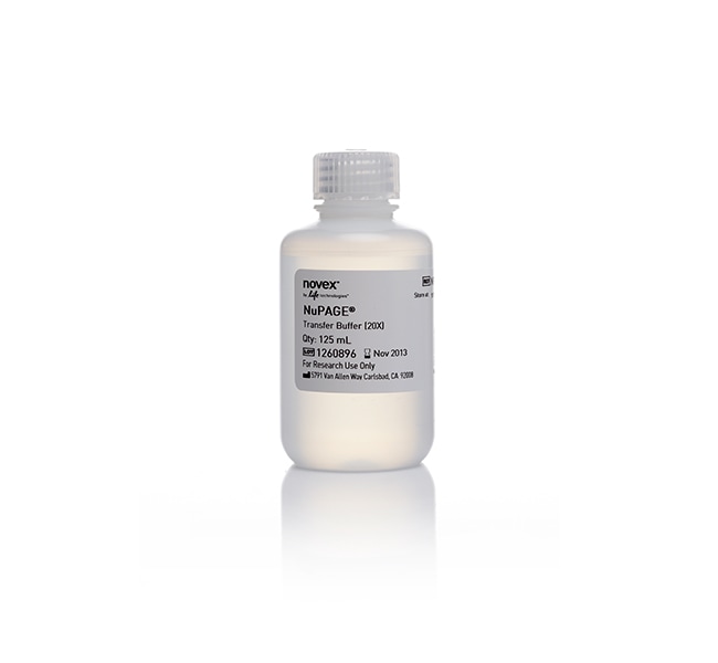 Thermo Fisher Scientific NuPAGE Transfer Buffer (20X), 125mL