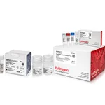 Thermo Fisher Scientific Power SYBR Green Cells-to-CT Kit, 40 reactions