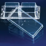 Merck Nunc(R) Lab-Tek(R) II chambered coverglass