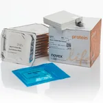 Thermo Fisher Scientific iBlot 2 Transfer Stacks, PVDF, mini, 10 Stacks