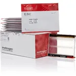 Thermo Fisher Scientific E-Gel 48 Agarose Gels, 1%, 8 Gels