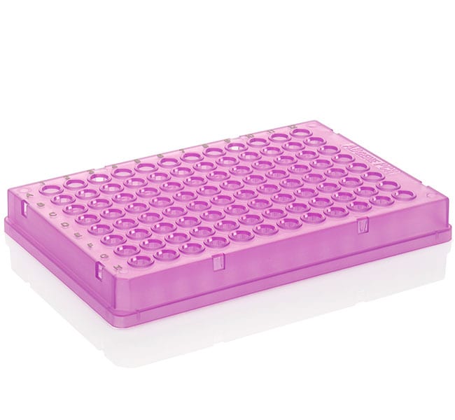 Thermo Fisher Scientific PCR Plate, 96-well, low profile, skirted, black lettering, purple