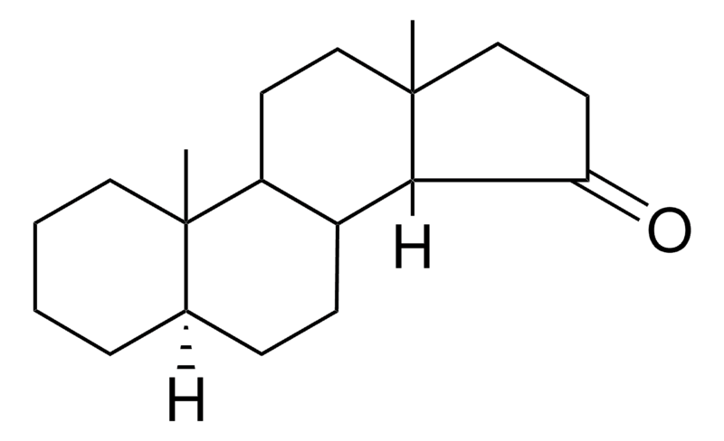 Merck 5-ALPHA,14-BETA-ANDROSTAN-15-O - 1 MG&