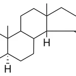 Merck 5-ALPHA,14-BETA-ANDROSTAN-15-O - 1 MG&