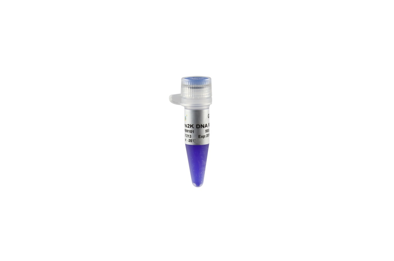 Trans2K® DNA Marker